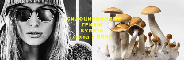гашишное масло Магас