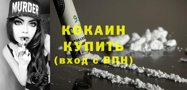 PSILOCYBIN Майский