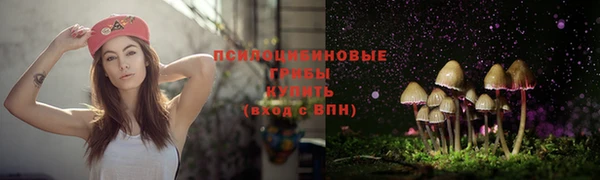 герыч Магадан