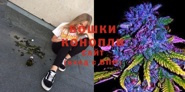PSILOCYBIN Майский