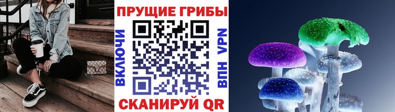 Псилоцибиновые грибы Psilocybine cubensis  Талдом 