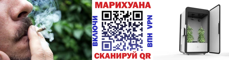 Бошки Шишки планчик  Талдом 